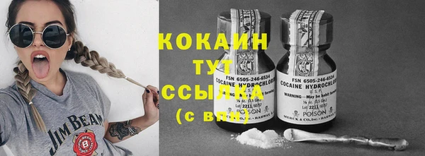 PSILOCYBIN Пересвет