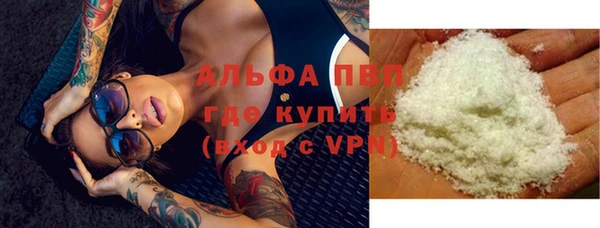 PSILOCYBIN Пересвет