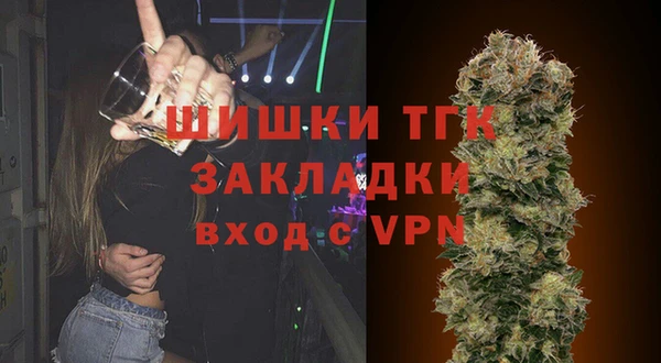 PSILOCYBIN Пересвет
